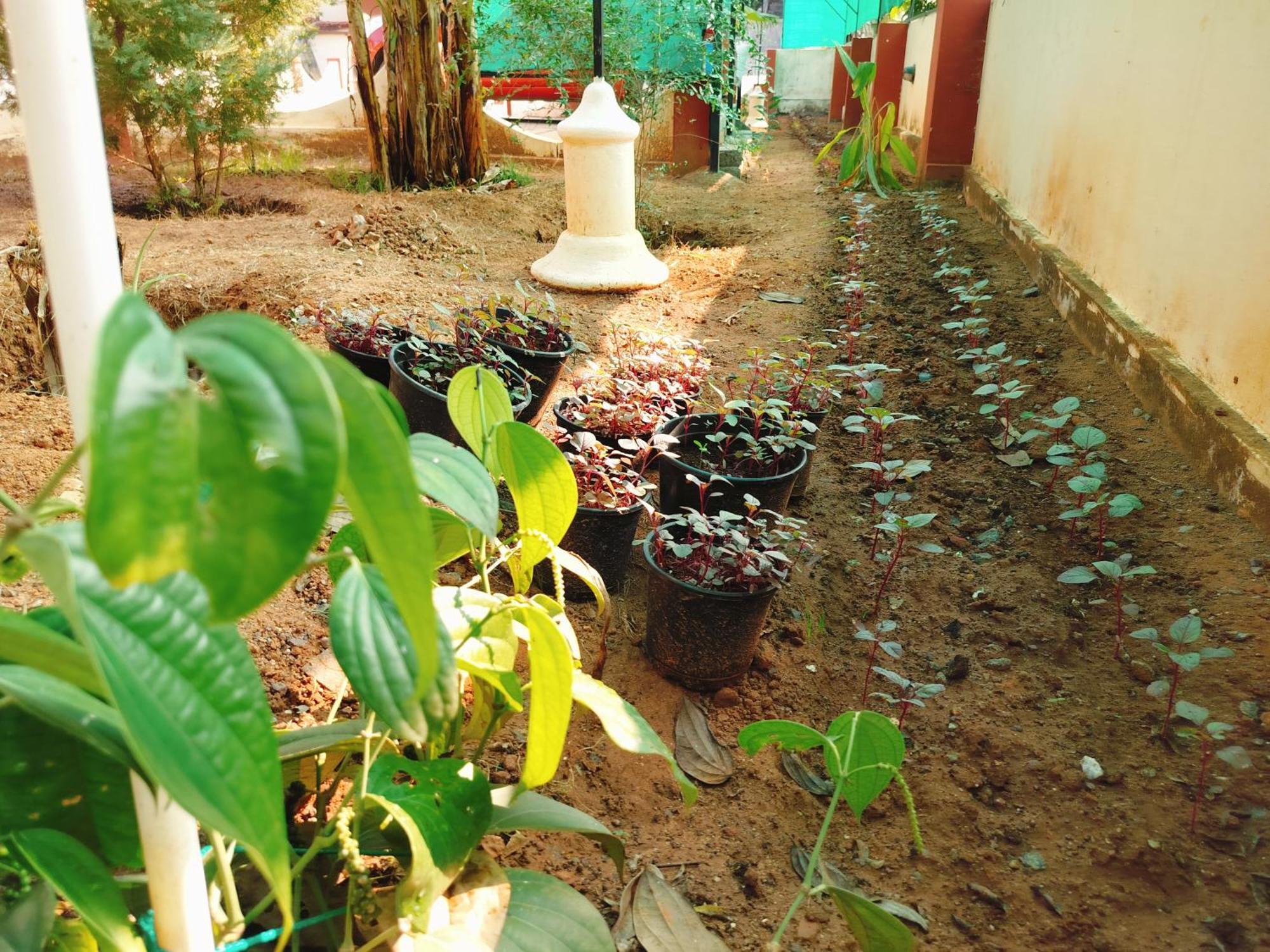 The Ixora - A Boutique Homestay فاركَالا المظهر الخارجي الصورة